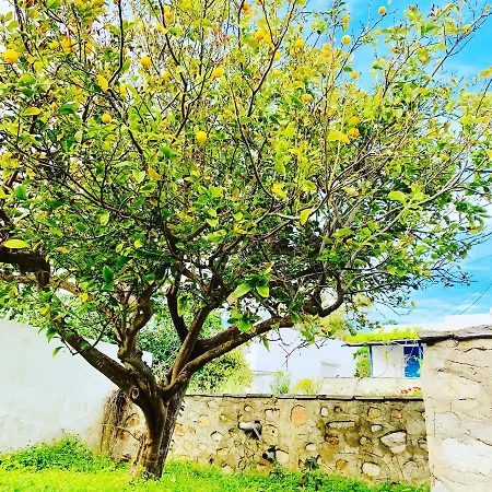 Limni No 1 Self Catering Daire Posidhonía